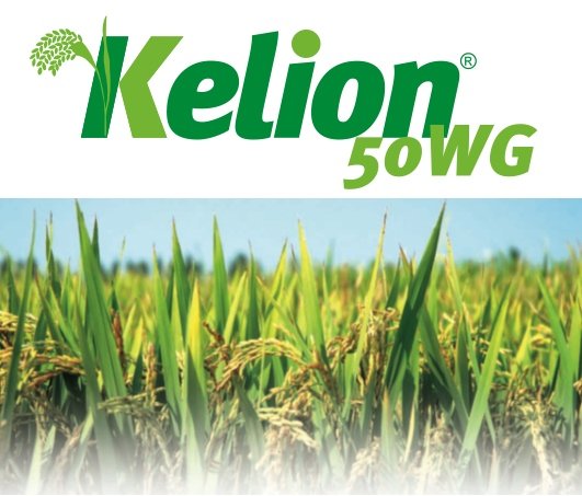 Kelion 50WG, prodotto innovativo per la difesa della risaia